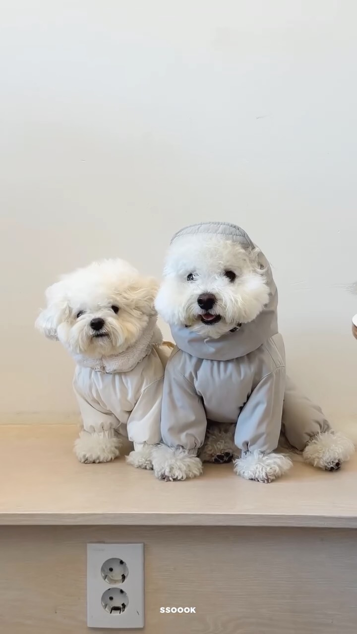 SSOOOK Wear – SSOOOK Japan