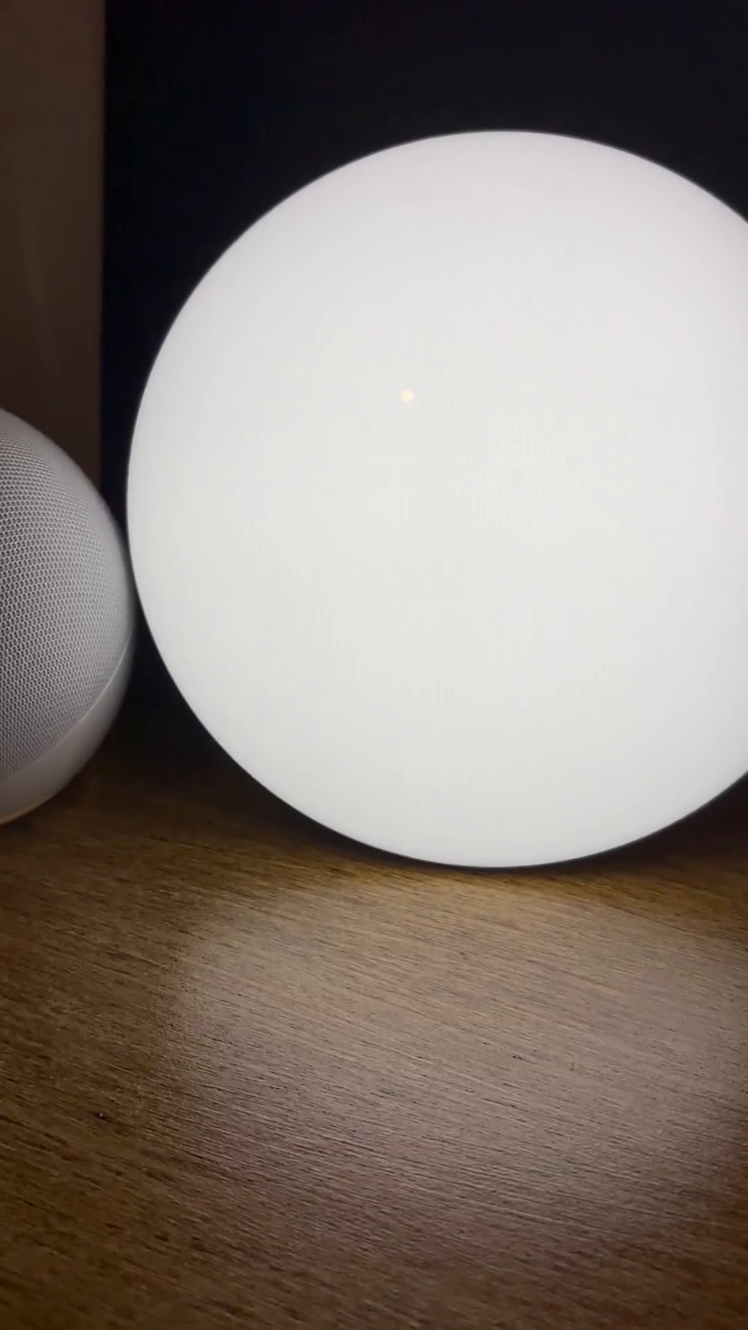 睡蓮 エックスレーザー ネクスト｜Alpen Online