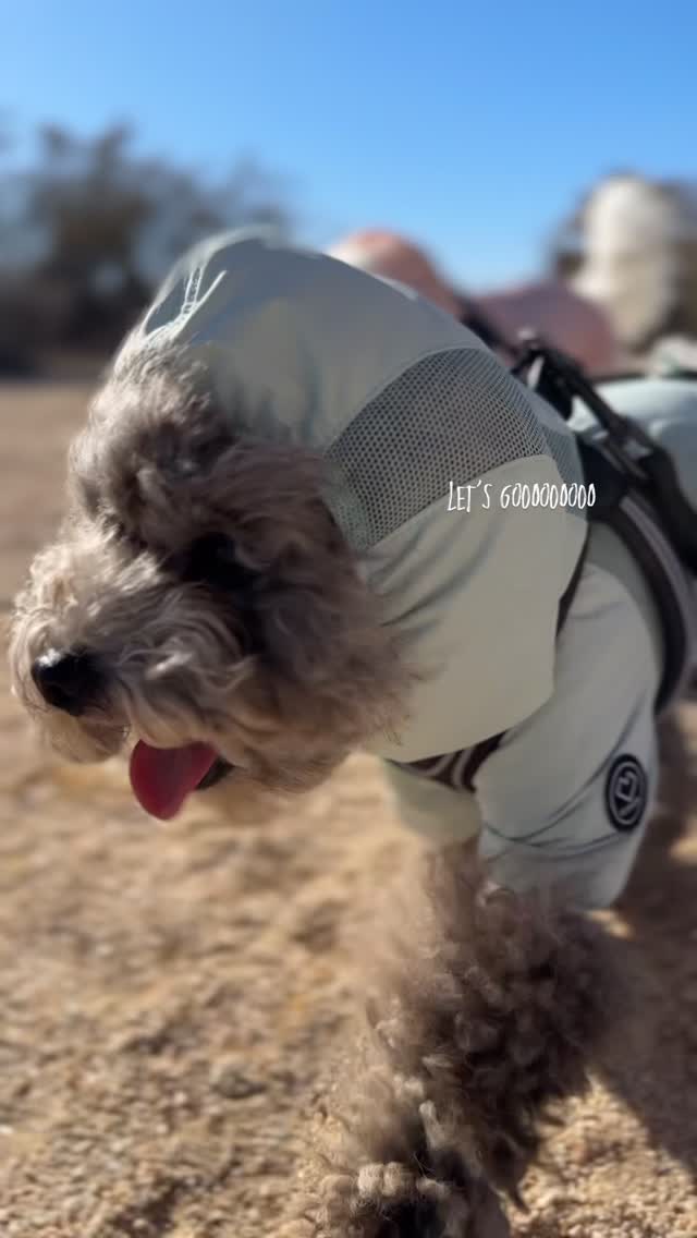 GooseFeel Winter Outer – SSOOOK