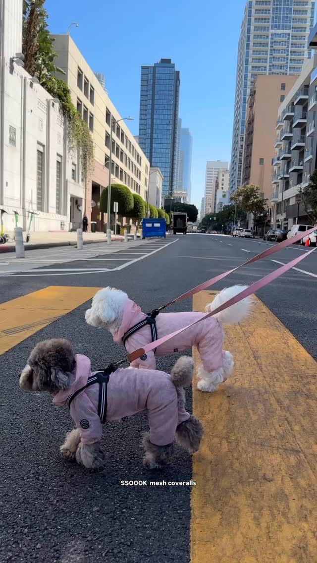 SSOOOK Coveralls