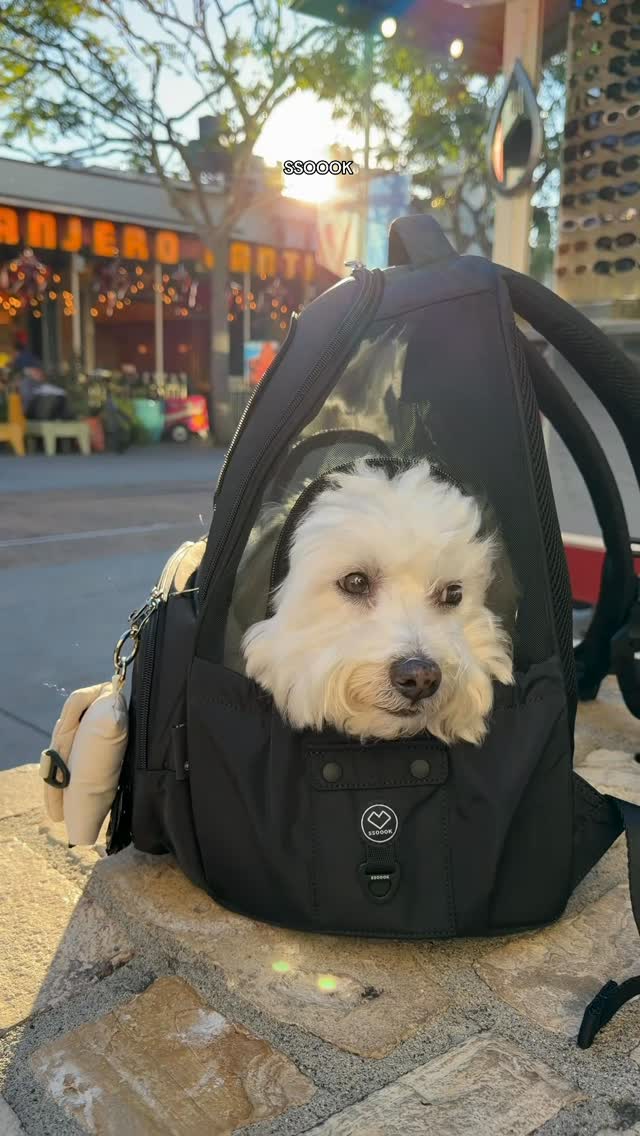 FRONT BAG – SSOOOK