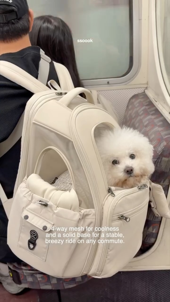 BACKPACK – SSOOOK