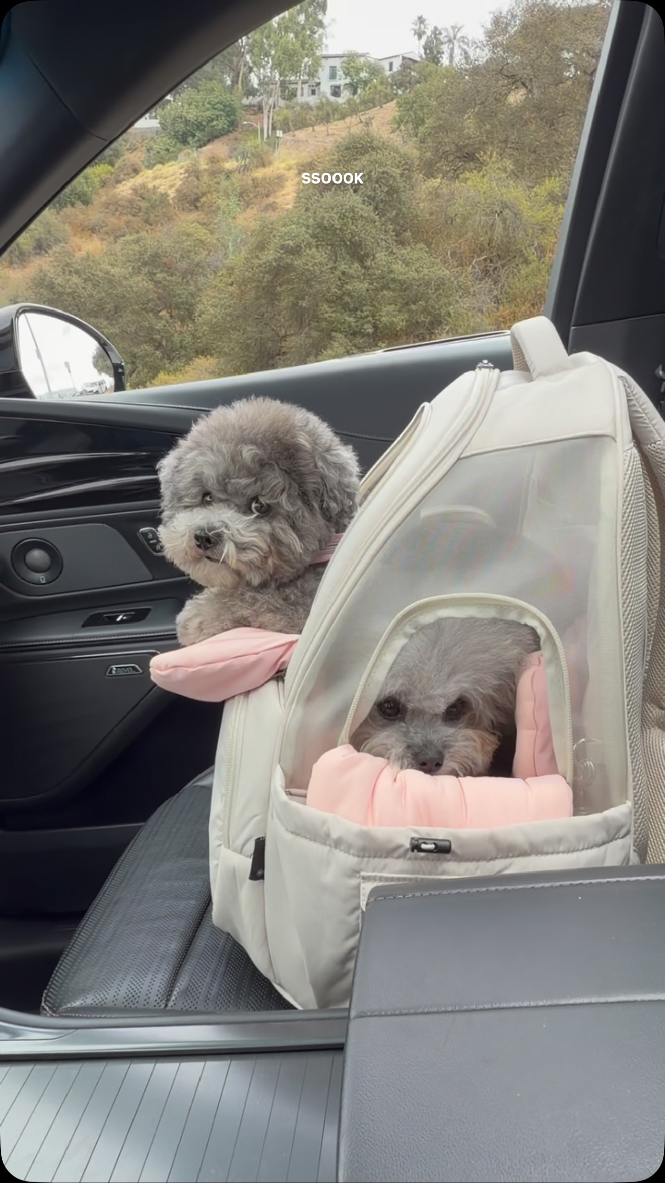 SSOOOK Carseats