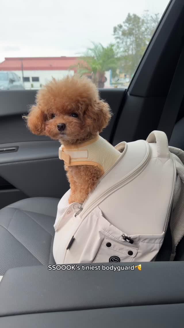 FRONT BAG – SSOOOK
